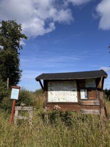 Fågelliv längs Tycklingerundan.