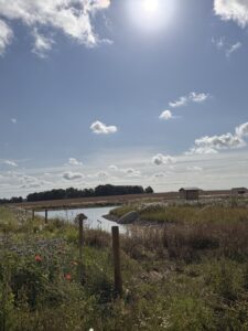 Lugnet längs Tycklingerundan