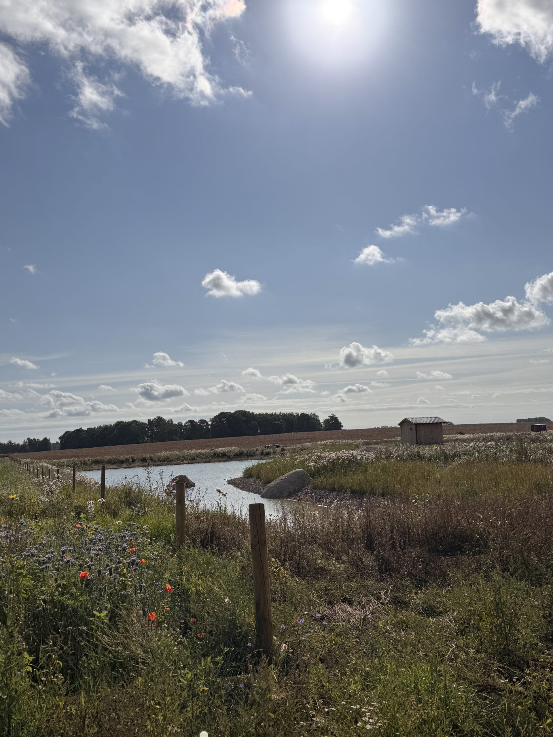 Lugnet längs Tycklingerundan